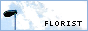 floaist